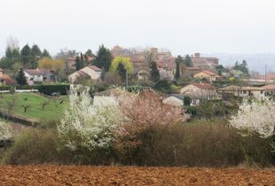 Belmont d'Azergues au printemps