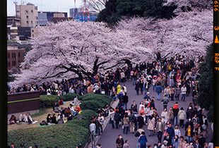 Tokyo 2