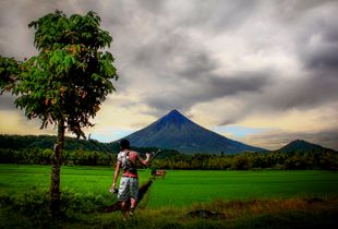 Crop Growth