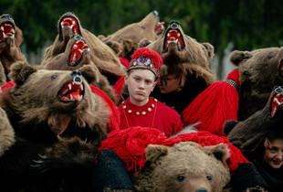 The Bears from Comanesti