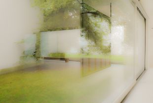 Floating Nature