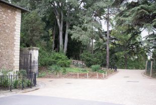 Jardin des Plantes, Paris, France © Mireille Schellhorn 2012