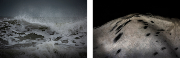 White Horses