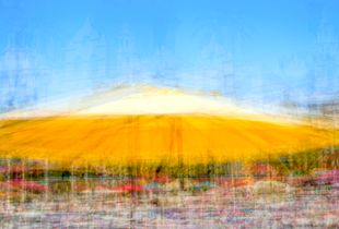 Joy In Yellow