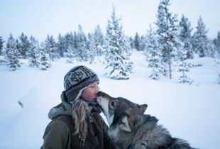 Arctic Love