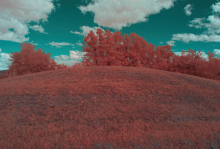 Touch the Sky