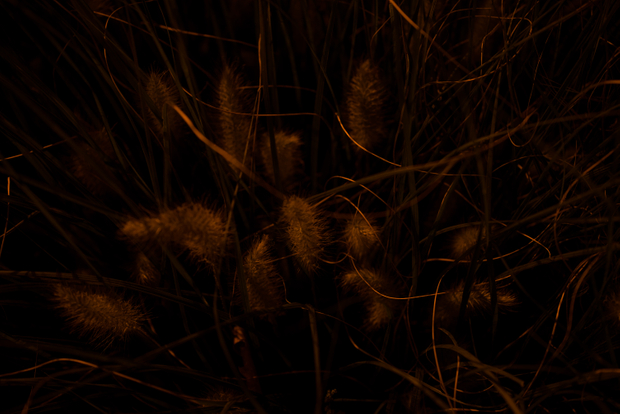 Strange place, the night_1