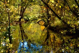 Loyalhanna Creek