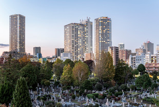 zoshigaya cemetery I