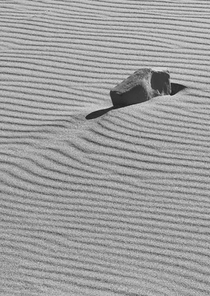 Artitic nature