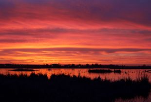 Red sunset