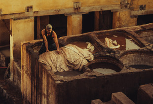 At the Tannery