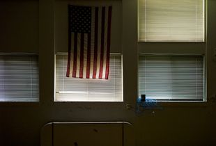Pledge Allegiance 1