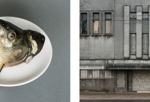 Untitled #1