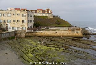 Apts for Rent -- Low Tide