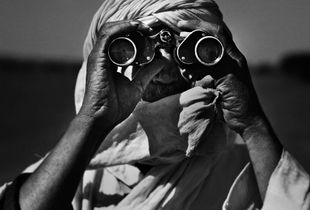 i'm watching you