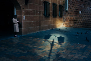 Afternoon light at Central
