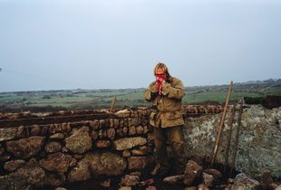 Simon Berryman, Cornish Hedger.