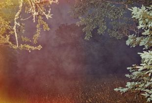 Exposed Fog                               © Paul Thulin