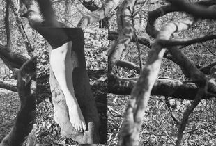 Untitled 03