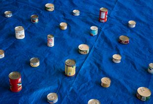 Cans of Food