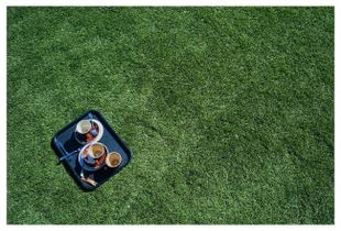 Plastic Picnic