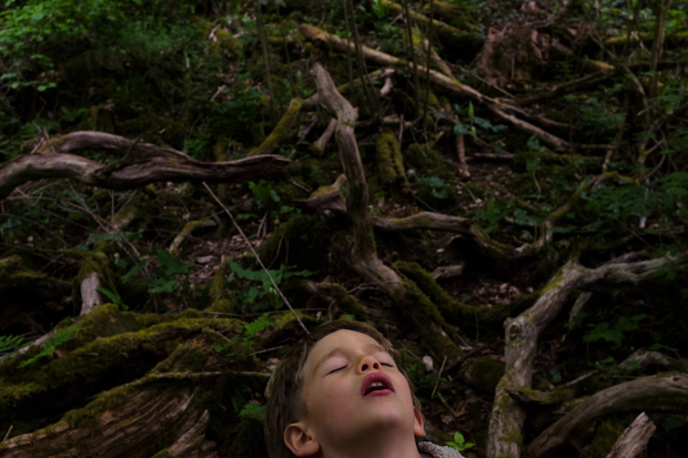 mossy heart 2020