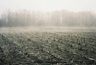 Early March Morning, Bond Street, Toccopola, MS