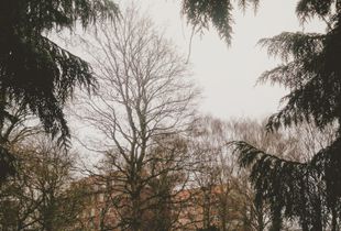 The Sensible: Impressions from Copenhagen #1