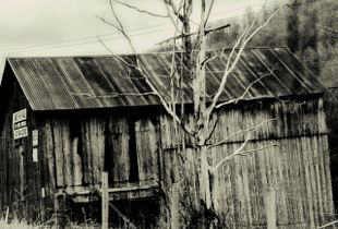 Abandoned  Shack
