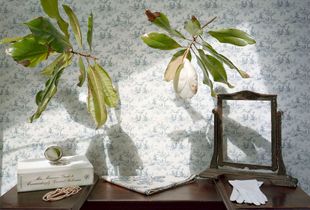 Still Life with Magnolia and Pearls