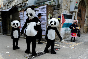 Pandas Visit