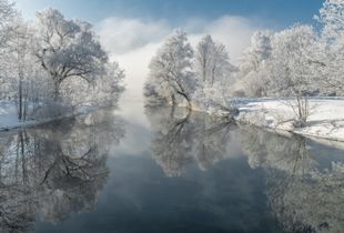 Magic of Winter