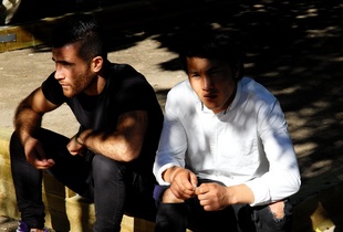 Shadows