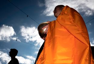 consciousness collector