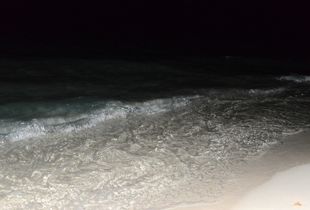 01 The Sea of Night