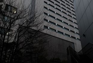 Monolith