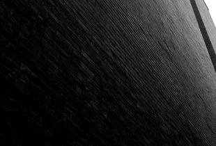 The wall