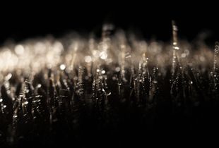 Perception 10