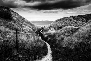 Scotlandscape #2