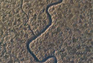 Mud Flats