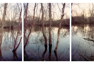 Spring floods on the Concord River, Concord, Massachusetts, 2020