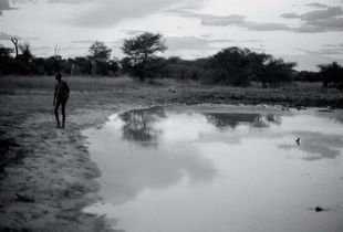 DUSK FALLING IN THE BUSH, NAMIBIA 2009