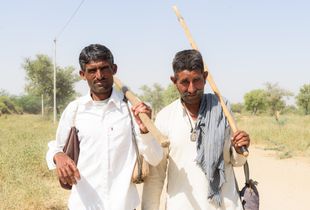 Shepherds stop briefly in the mid-morning sun, on the dusty lanes of a village in Jodhpur.