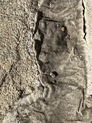 Stone Face
