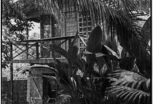 Busua on B&W film - Kitchen