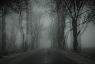 The Road
