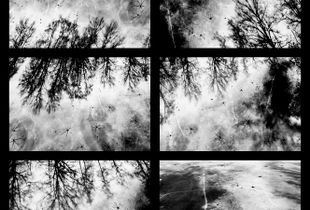 Lakeshore Operations | Dark Series #01
