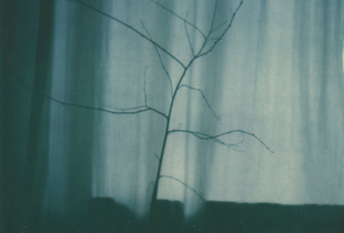Untitled, Sehnzucht, 2015-2016