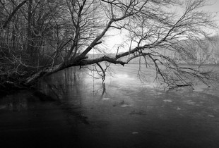 Suspended Rope Over Melting Ice, Bushy Hill Pond, Deep River, CT, 12 30 22